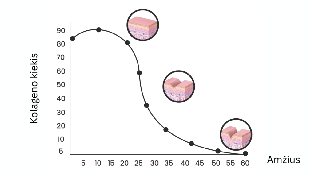 Kaip keičiasi kolageno kiekis su amžiumi